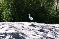 IMGP3735.JPG (935341 bytes)